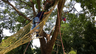 Close to Nature EcoCamp - image